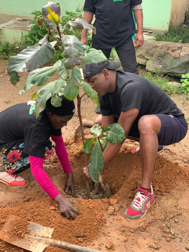 Ecosmart plants a tree project: its about beautifying our environment for a healthy living.