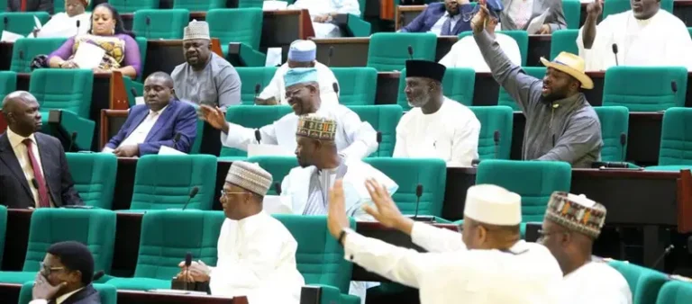 Bill for one-day general elections passes second reading