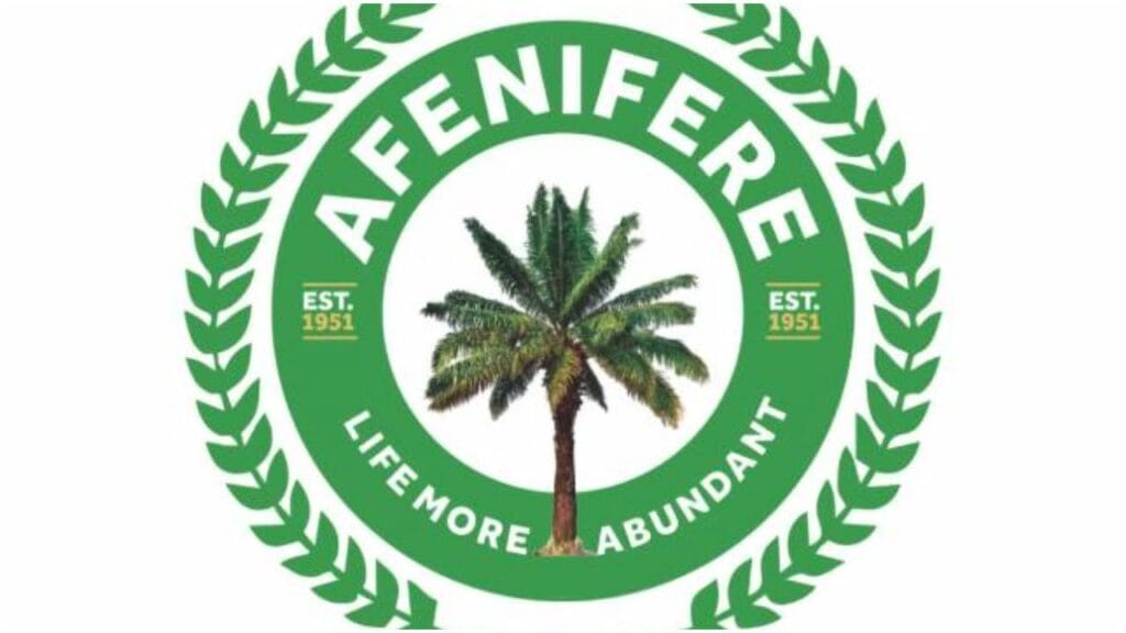 World Amotekun Day: Afenifere commends UN for declaring July 7