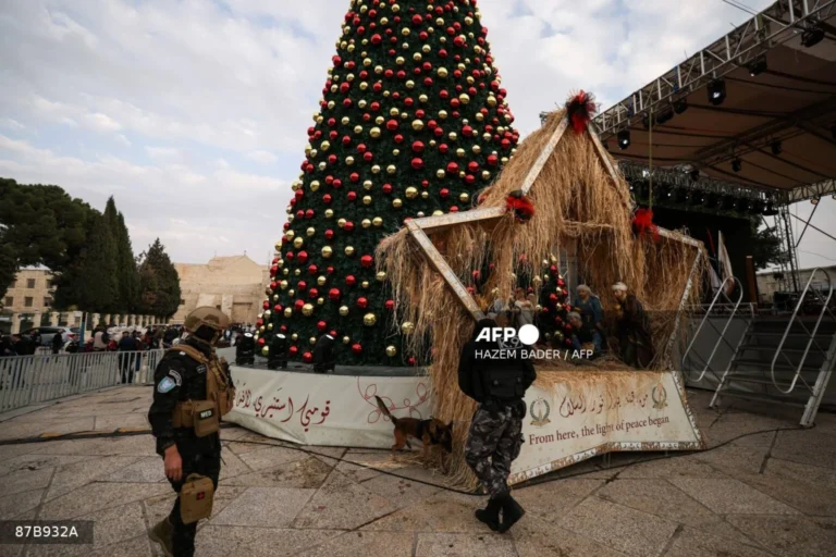 Christmas: Bethlehem lights tree first time since Gaza war