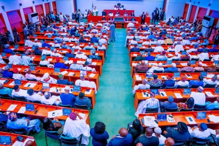 National Emergency On Lead Poisoning In Ogun Community, Senate Orders Clampdown