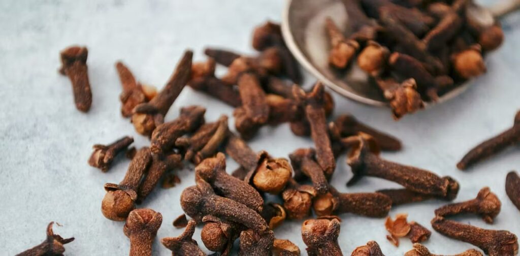 Nigeria Mobilizes 74,000 Farmers for National Cloves Initiative Ahead of 2026 Wet Season