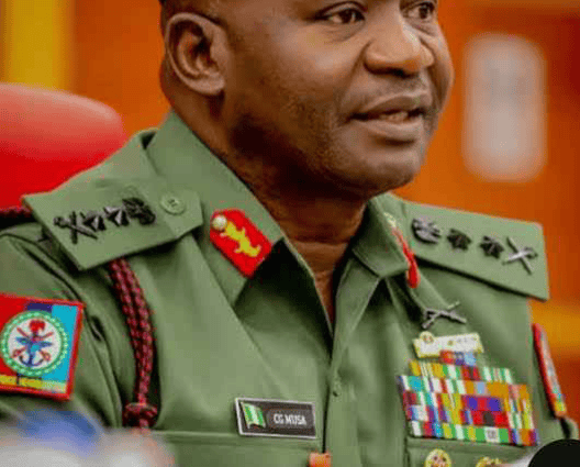 Coup: Officers involved must face consequences of plot ~ Christopher Musa