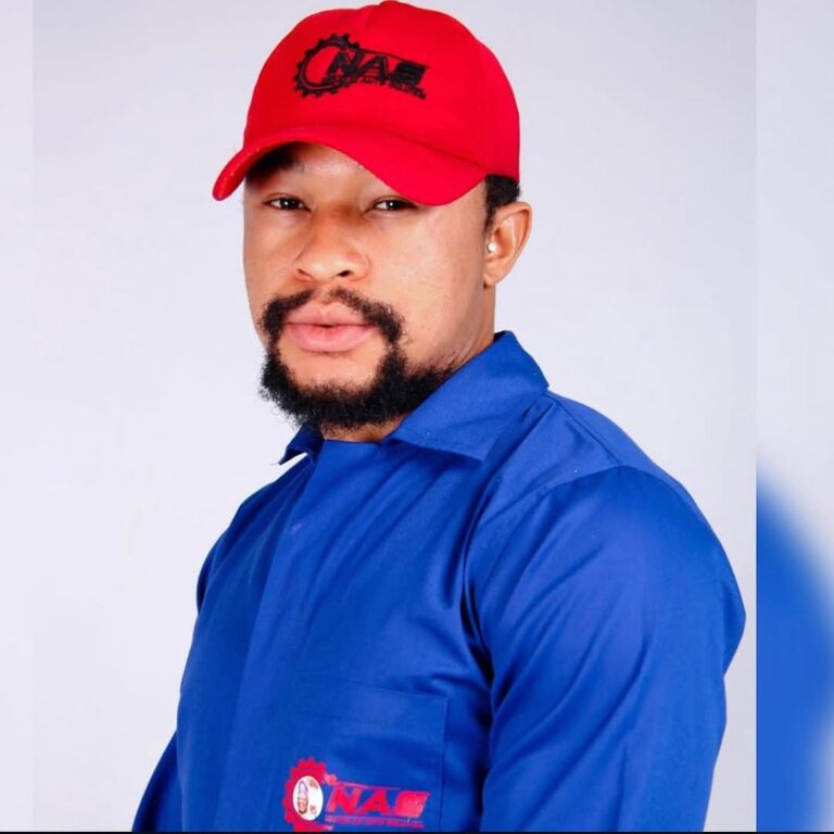 Aigboboh’s Appointment Will Boost Tinubu’s Re-Election Bid – Iseghohimen