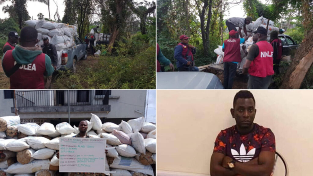 NDLEA Arrests Kano Passenger Attempting to Traffic 82 Cocaine Wraps to Milan