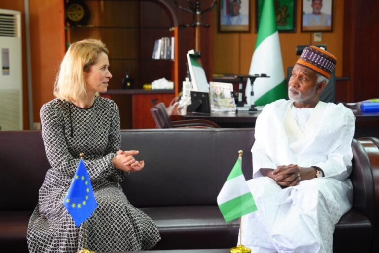 EU Unveils €290 Million Investment Drive to Boost Nigeria’s Digital Economy and Agriculture
