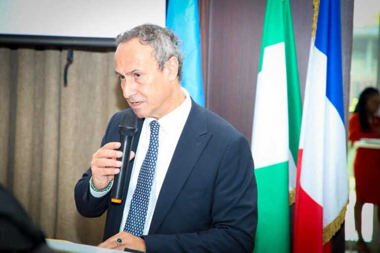 French Automakers Target Local Partnerships for Nigerian Market Re-entry
