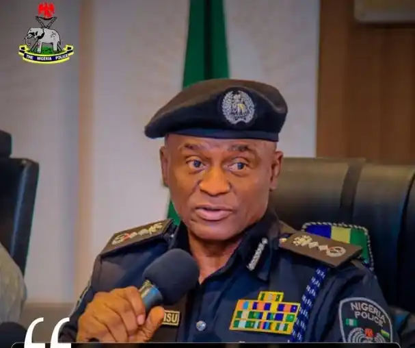 Police Council decides unanimously on Disu as IG