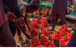 Food Waste: Nigeria Takes Africa’s Highest, 38 Million Tonnes Lost