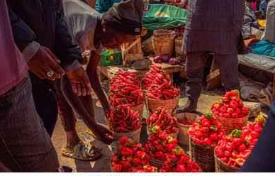 Food Waste: Nigeria Takes Africa’s Highest, 38 Million Tonnes Lost