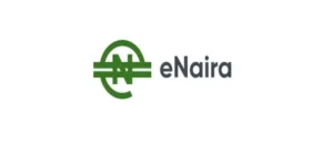 FG Considers Salaries Payments Via eNaira Platform ~ Report