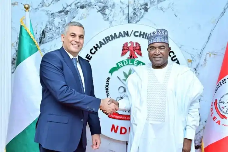 Nigeria Partners Egypt to Fight Drug Cartels, Sign Anti-narcotics MoU