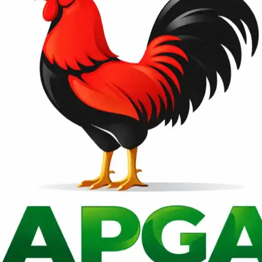 Anambra APGA Emerges Winner Of All 21 Chairmanship, Councillorship Seats