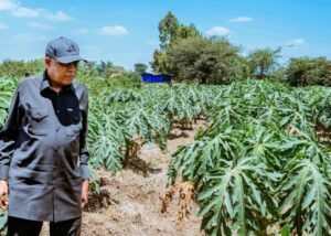 Nigeria Plans Adoption of Ethiopia’s Agribusiness Model As It Targets Food Sovereignty
