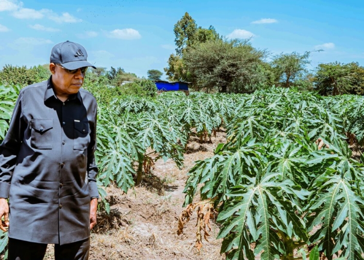 Nigeria Plans Adoption of Ethiopia’s Agribusiness Model As It Targets Food Sovereignty