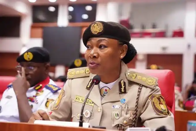 Immigration Nandap Demands Collective Action To Curb Illegal Migration
