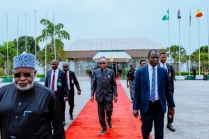 Shettima, Delegation On Trip To Ethiopia For Nutrition Exchange Programme